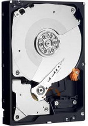   Western Digital WD2000FYYZ