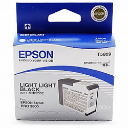   Epson C13T580900 -