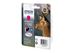   Epson C13T13034010    