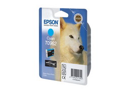   Epson C13T09624010 