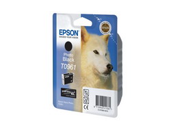   Epson C13T09614010 