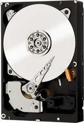   Western Digital WD2000F9YZ