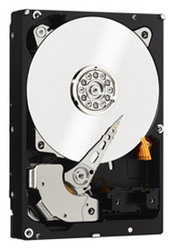   Western Digital WD3000F9YZ