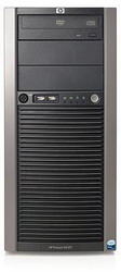   HP ProLiant ML310 G8