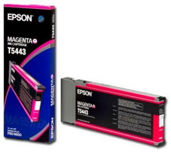   Epson C13T544300 