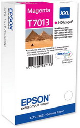   Epson C13T70134010 