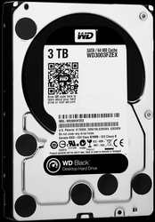   Western Digital WD3003FZEX