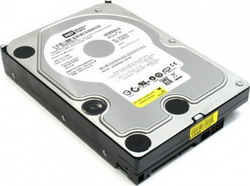   Western Digital Caviar Blue 320 