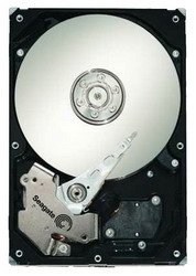   Seagate ST3750630SS