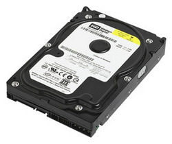   Western Digital Caviar Blue 250 