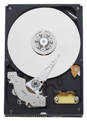   Western Digital Caviar Blue 160 