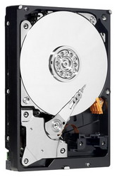   Western Digital RE4-GP 2 