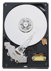   Western Digital WD800BB