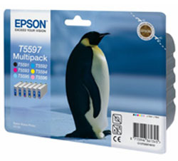    Epson EPT55974010 6 .