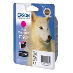   Epson EPT09634010 