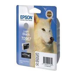   Epson EPT09674010 