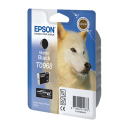   Epson EPT09684010 