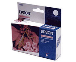   Epson EPT033640 -