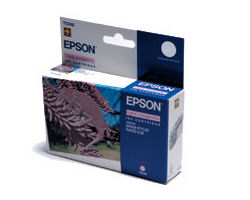   Epson EPT34640 -