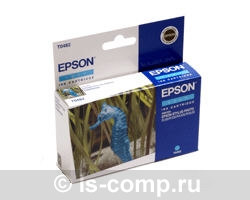   Epson EPT048240   #1