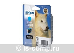   Epson C13T09624010   #1