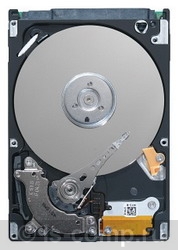   Seagate ST9250315AS  #1