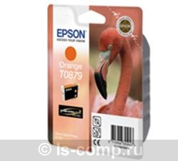   Epson EPT08794010   #1