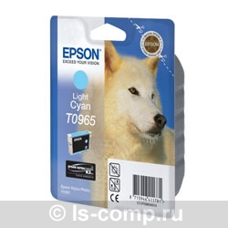   Epson EPT09654010 -  #1