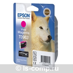   Epson EPT09634010   #1