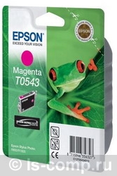   Epson C13T05434010   #1