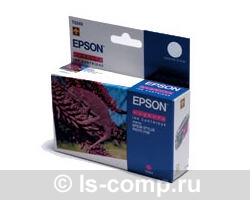   Epson EPT34340   #1