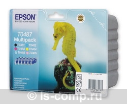    Epson EPT04874010 6 .  #1