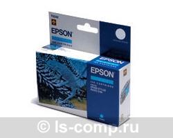   Epson EPT34240   #1