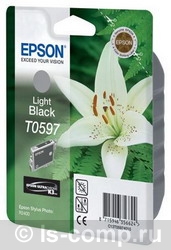   Epson TO597  C13T05974010  #1