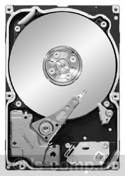   Seagate ST9500620NS  #1