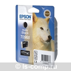   Epson EPT09684010   #1