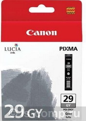   Canon PGI-29GY  4871B001  #1