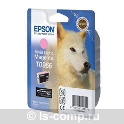   Epson EPT09664010 -  #1