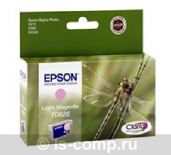   Epson EPT08264A -  #1