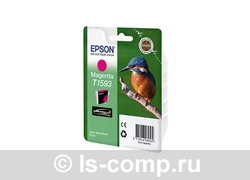   Epson C13T15934010   #1